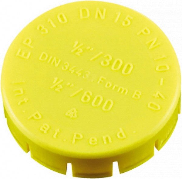 Flange Cap: