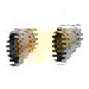 1-1/2 in. Brass PEX Expansion x Press Adapter