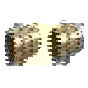 1 in. Brass PEX Expansion x 1 in. FPT Adapter