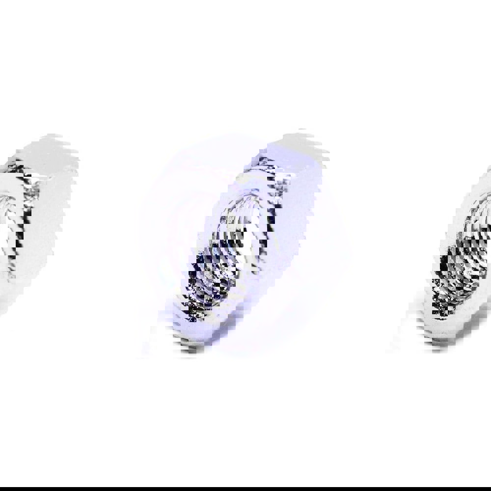 Hex Nut: Grade 316 Stainless Steel, NL-19 Finish