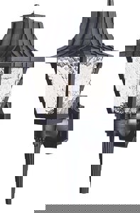 BLAC 1 60W MED EXT SCONCE *COLONI