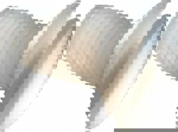 Machine Screw: #4-40 x 1/4