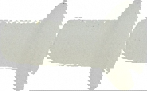 Machine Screw: #4-40 x 5/16