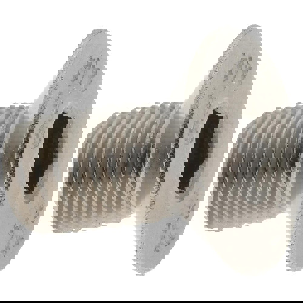 Flat Socket Cap Screw: 316 & Austenitic