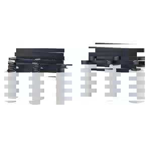 60W 3-Light Vanity Fixture in Matte Black