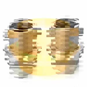 FNST x FNPT 2-1/2 in. Adapter