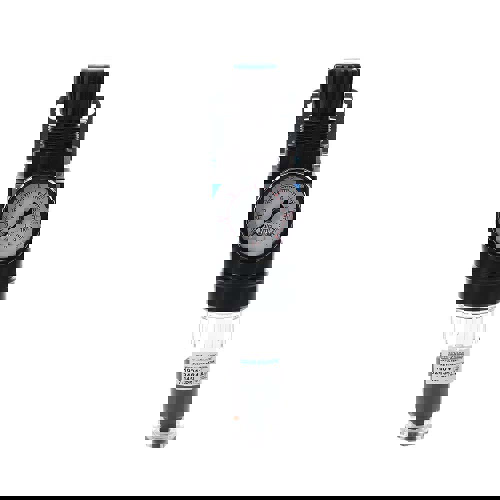 FRL Combination Unit: 1/8 NPT, Miniature