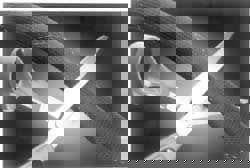 19.05mm ID, Black PET Expandable Cable S