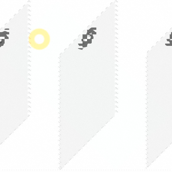 Blank Tag: 4-3/4'' High, White, Polypropylene