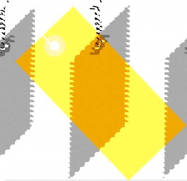 Blank Tag: 5-3/4'' High, Orange, Polypropylene