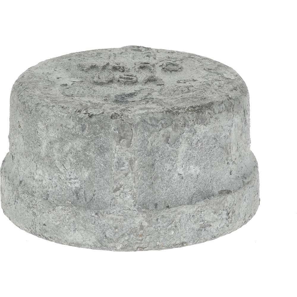 Malleable Iron Pipe End Cap: 2