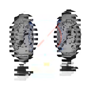 15 LB GAS TEST ASSY W/ 4 IN FACE