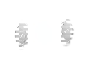 NEST THERMOSTAT SNOW