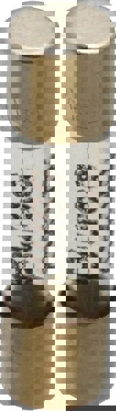 Cartridge Fast-Acting Fuse: 1 A, 20 mm OAL, 5 mm Dia