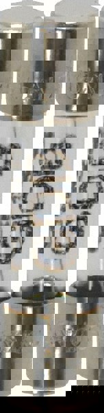 Cartridge Fast-Acting Fuse: 3.15 A, 20 mm OAL, 5 mm Dia