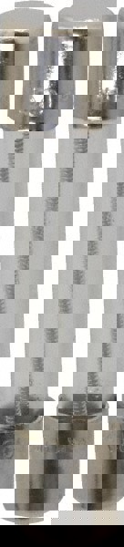 Cylindrical Time Delay Fuse: 1 A, 1-1/4