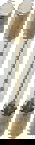 Cylindrical Time Delay Fuse: 2 A, 1-1/4