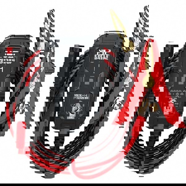 Automatic Charger/Battery Maintainer: 100 to 240VAC