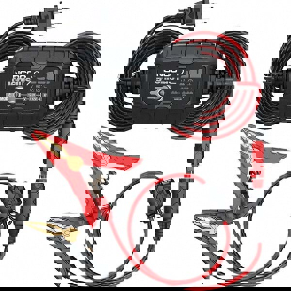 Automatic Charger/Maintainer: 100 to 240VAC