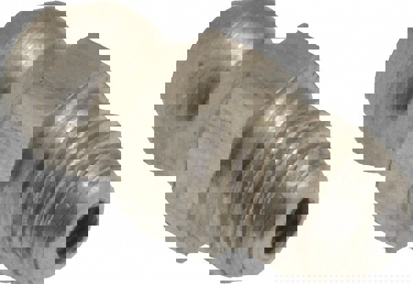 Standard Grease Fitting: M6 x 1 Metric