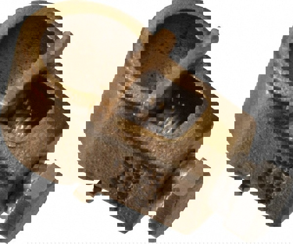 2 to 8 (Solid) AWG Compatible Single-Nut Rod Clamp