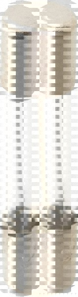 Cylindrical Time Delay Fuse: 0.25 A, 20 mm OAL, 5 mm Dia
