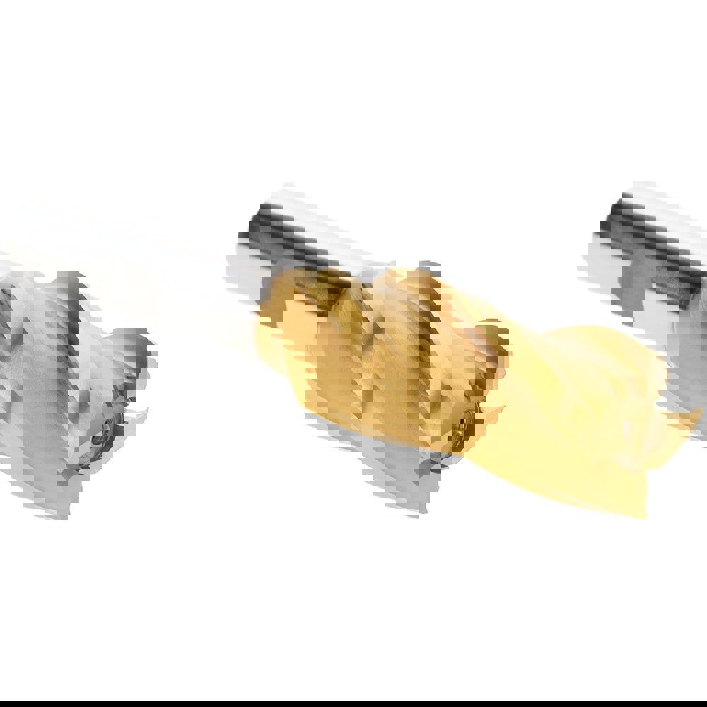 Square End Mill: 13/16