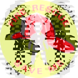 Fire Rescue - Save Me, Pressure Sensitiv