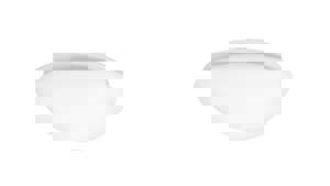 Frosted Replacement Glass