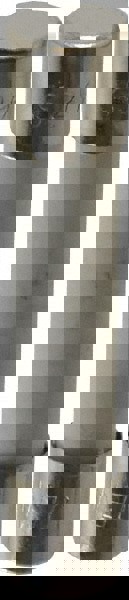 Cylindrical Time Delay Fuse: 20 A, 1-1/4