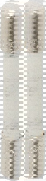 Cylindrical Time Delay Fuse: 10 A, 20 mm OAL, 5 mm Dia