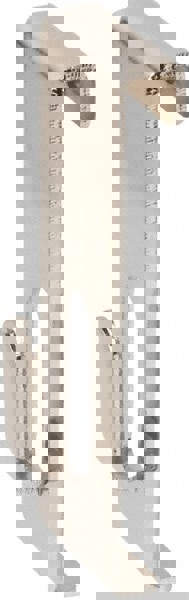 Storage Hook: Slatwall Mount, Metal