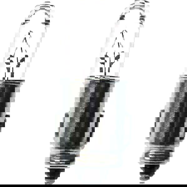 13.2 Volt, Halogen Miniature & Specialty T2-1/2 Lamp