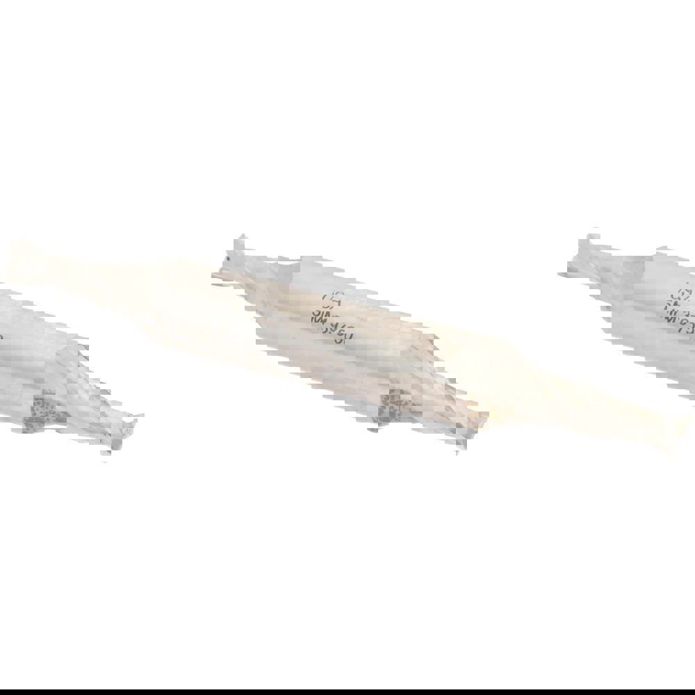 Square End Mill: 0.1969'' Dia, 1/2'' LOC, 3/8'' Shank Dia, 3-1/8'' OAL, 2 Flutes, Cobalt