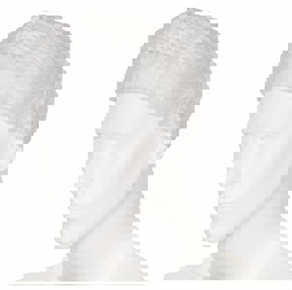 Hairnet: White, Size 24 in