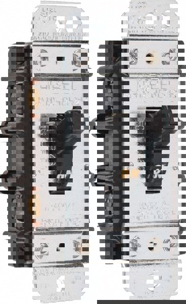 2 Poles, 40 Amp, Open Toggle Manual Motor Starter