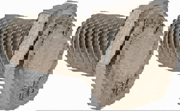 Metric Hhcs Hex Dr 18-8 Ss