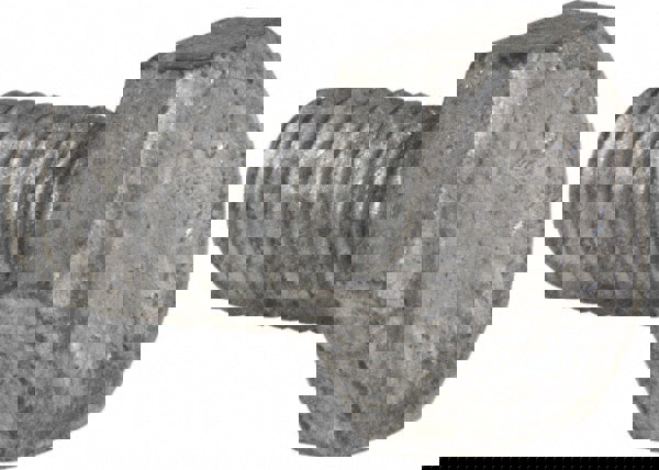 Hex Head Bolt: 1/4-20, 1/2