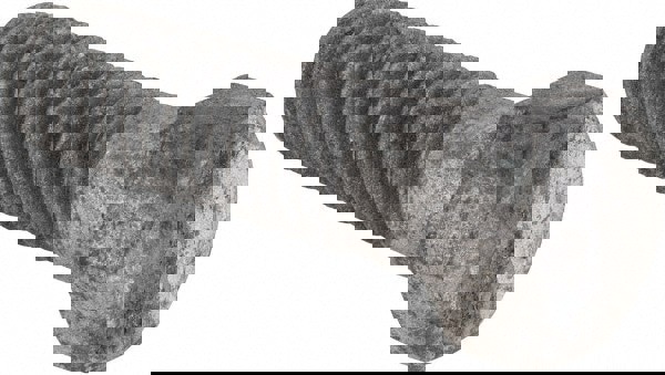 Hex Head Bolt: 7/16-14, 1-1/2