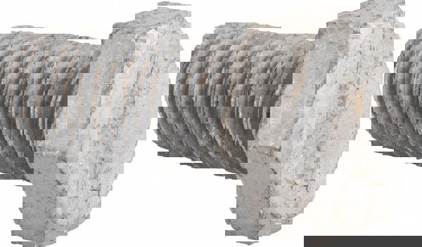 Hex Head Bolt: 3/4-10, 1-3/4