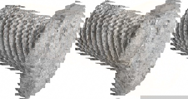 Hex Head Bolt: 3/4-10, 2-1/4