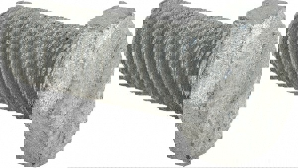 Hex Head Cap Screw: 3/4-10 x 2