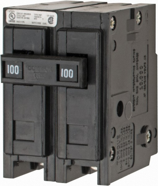 100 Amp, 120/240 VAC, 24 VDC, 48 VDC, 80 VDC, 2 Pole, Plug In Miniature Circuit Breaker