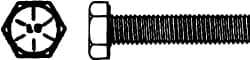 Hex Head Cap Screw: 2-12 x 10
