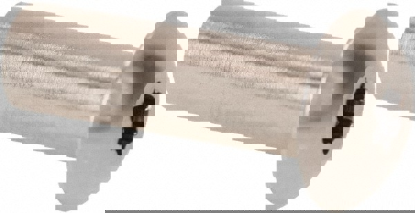 1/4-20 Thread Barrel, Torx Drive, Stainless Steel Sex Bolt