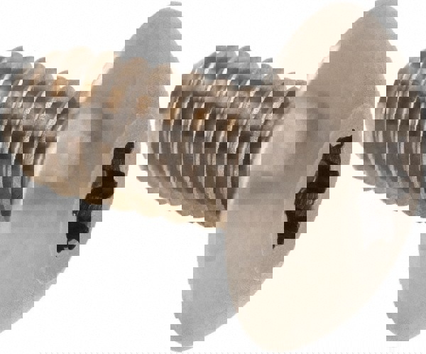 1/4-20 Thread Screw, Truss Head, Torx Drive, Stainless Steel Sex Bolt