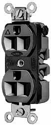 Straight Blade Duplex Receptacle: NEMA 5-15R, 15 Amps, Isolated Ground