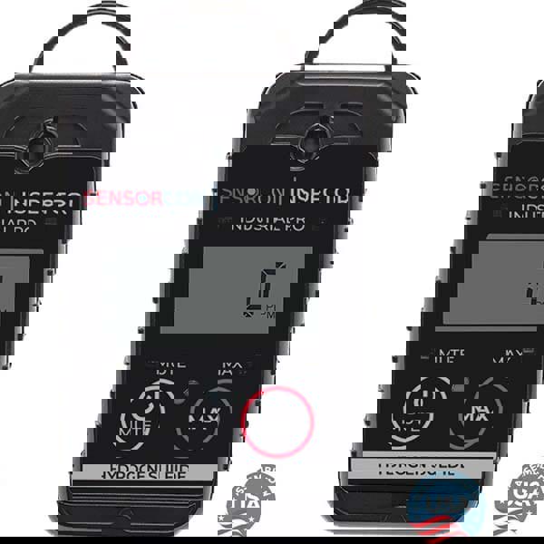 Single Gas Detector: Hydrogen Sulfide, 0 to 400 ppm, Light, LED