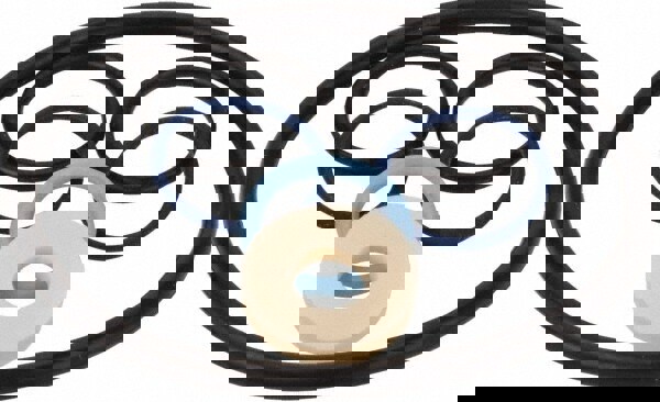 Drum Pump Repair Kits & Parts