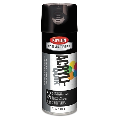 Lacquer Spray Paint: Black, Gloss, 16 oz